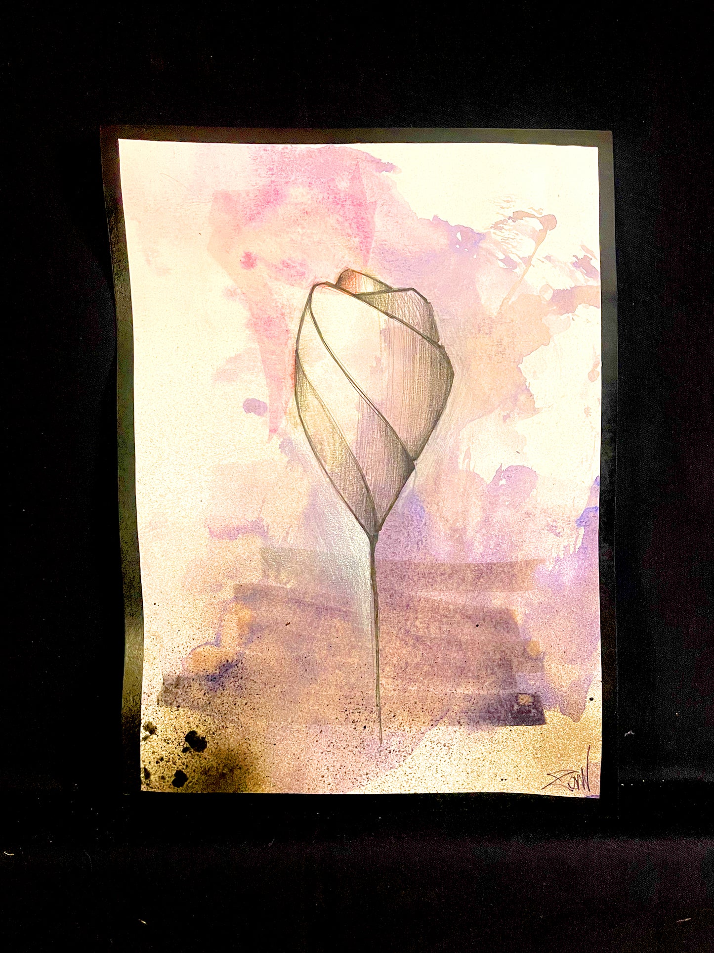 Dusk Bloom